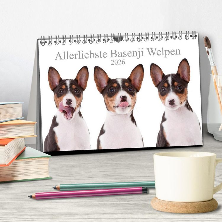 Produktbild: Allerliebste Basenji Welpen 2026 (Tischkalender 2026 DIN A5 quer), CALVENDO Monatskalender