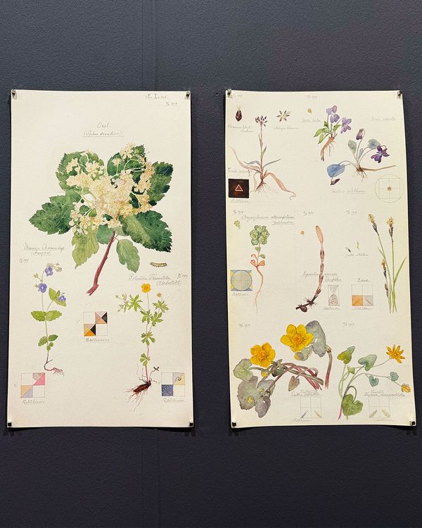 Produktbild: Hilma af Klint. Flora