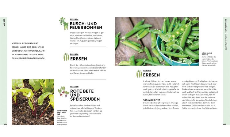 Produktbild: Hochbeet