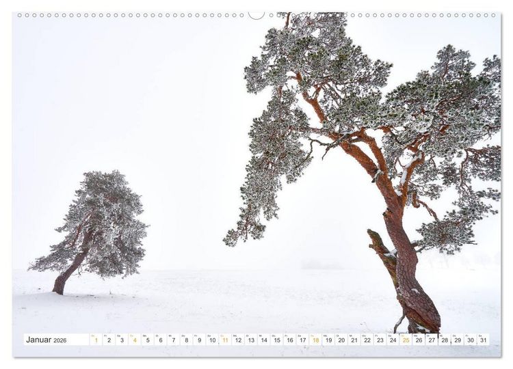 Produktbild: B&auml;ume im Altm&uuml;hltal (Wandkalender 2026 DIN A2 quer), CALVENDO Monatskalender
