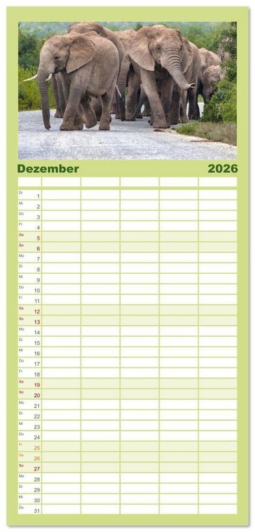 Produktbild: Familienplaner 2026 - Elefanten Begegnungen im &ouml;stlichen und s&uuml;dlichen Afrika mit 5 Spalten (Wandkalender, 21 x 45 cm) CALVENDO