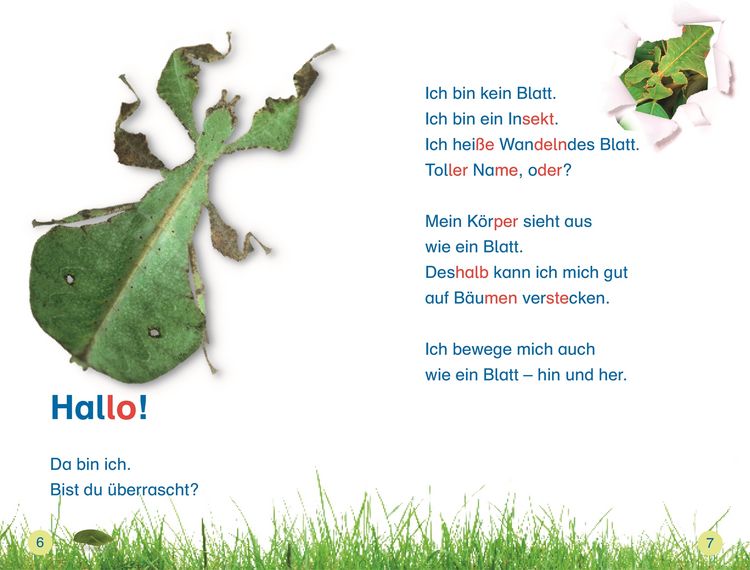 Produktbild: SUPERLESER! Insekten, top getarnt