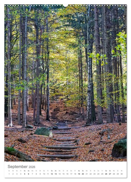 Produktbild: Wald - bezaubernde Landschaften (hochwertiger Premium Wandkalender 2026 DIN A2 hoch), Kunstdruck in Hochglanz