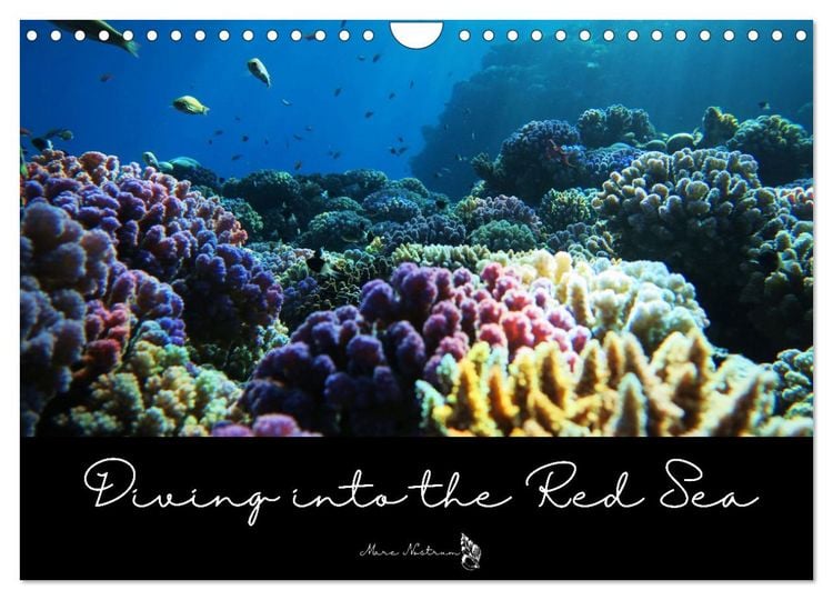 Produktbild: Diving into the Red Sea (Wall Calendar 2026 DIN A4 landscape), CALVENDO 12 Month Wall Calendar