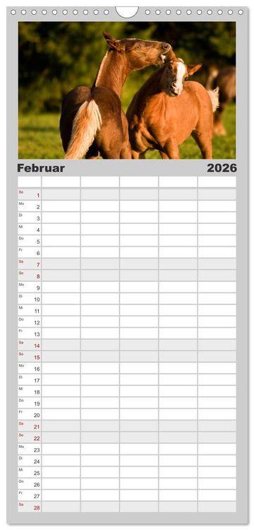 Produktbild: Familienplaner 2026 - Faszination und Vielfalt - Schwarzw&auml;lder Kaltblut mit 5 Spalten (Wandkalender, 21 x 45 cm) CALVENDO
