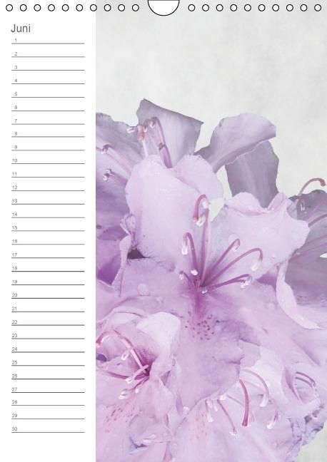 Produktbild: Zarte Bl&uuml;ten / Geburtstagskalender (Wandkalender immerw&auml;hrend DIN A4 hoch)