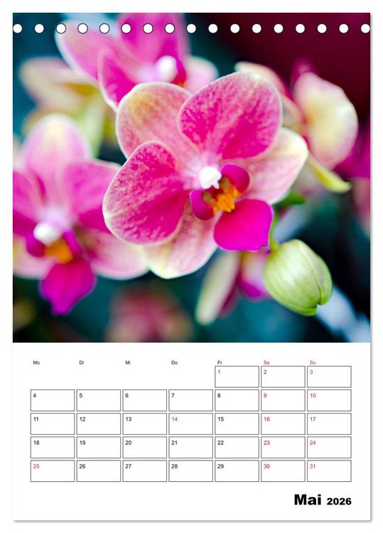 Produktbild: Orchideen - Tropische Sch&ouml;nheiten (Tischkalender 2026 DIN A5 hoch), CALVENDO Monatskalender