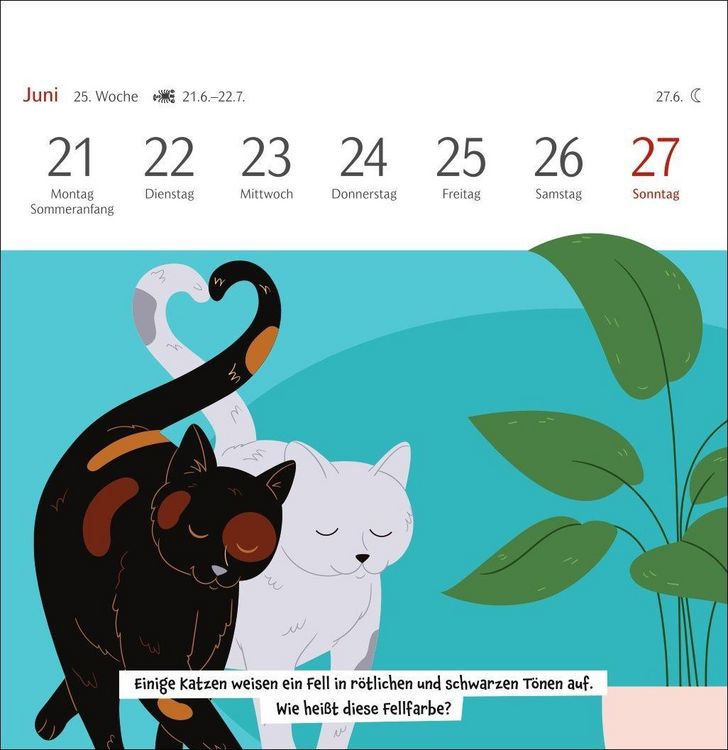Produktbild: Unn&uuml;tzes-Wissen-Quiz Katzen Premium-Postkartenkalender 2027 - Kalender mit 53 R&auml;tselkarten