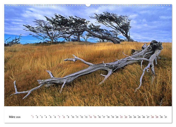 Produktbild: Faszinierendes Patagonien (hochwertiger Premium Wandkalender 2026 DIN A2 quer), Kunstdruck in Hochglanz