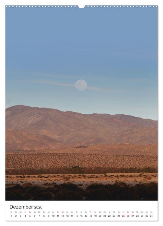 Produktbild: Palm Springs - Immer der Sonne nach. (Wandkalender 2026 DIN A2 hoch), CALVENDO Monatskalender