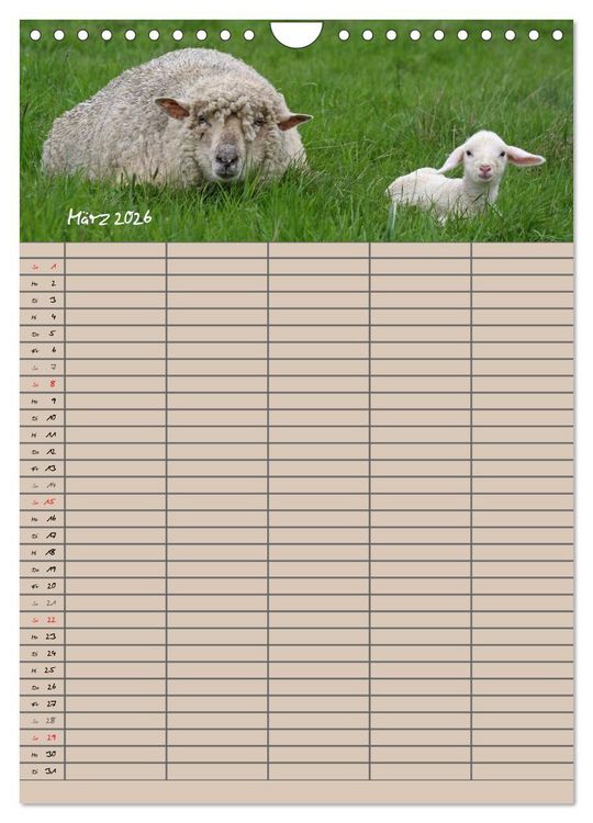 Produktbild: Der bel&auml;mmerte Familienplaner (Wandkalender 2026 DIN A4 hoch), CALVENDO Monatskalender