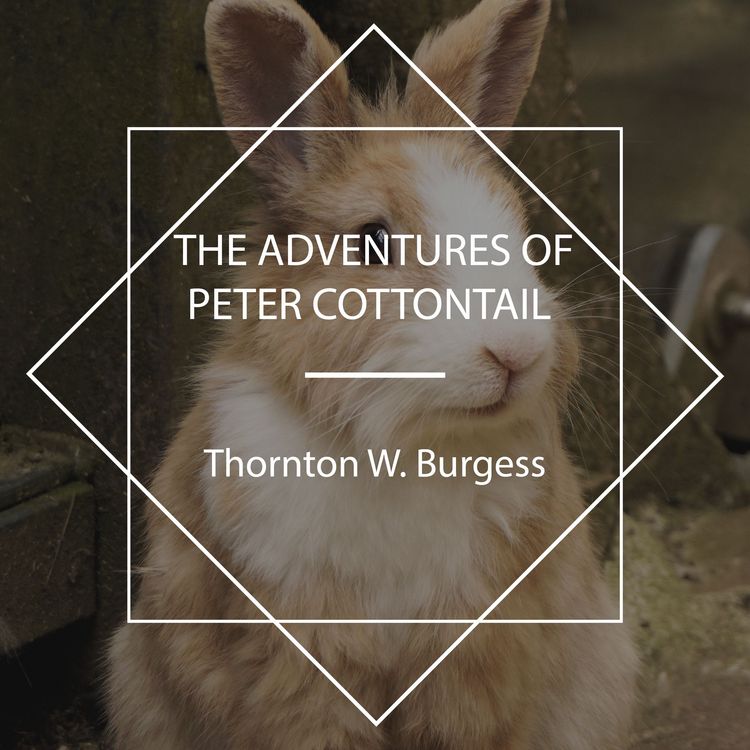 Produktbild: The Adventures of Peter Cottontail