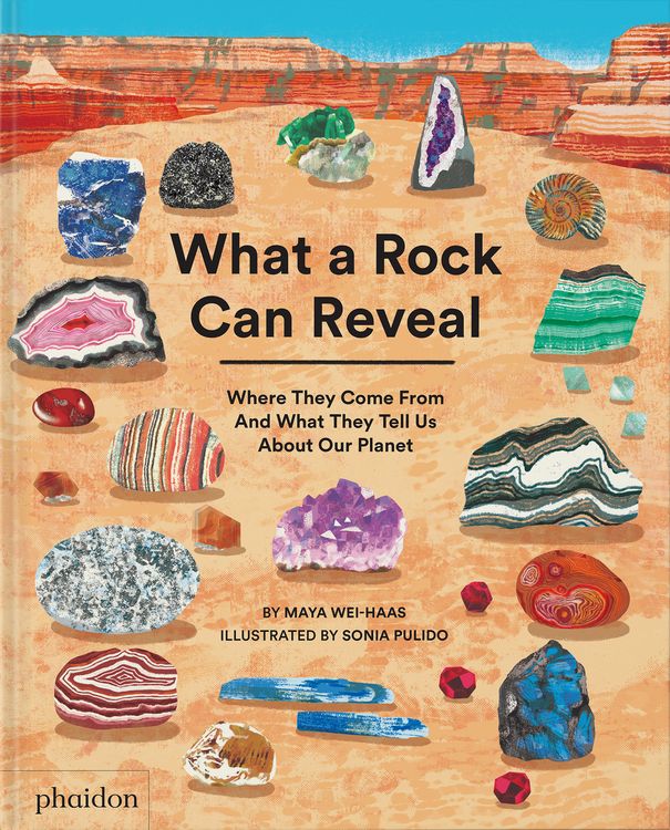 Produktbild: What a Rock Can Reveal