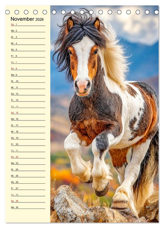 Produktbild: Zauber der Ponys. Kleine Pferde in der Natur (Tischkalender 2026 DIN A5 hoch), CALVENDO Monatskalender