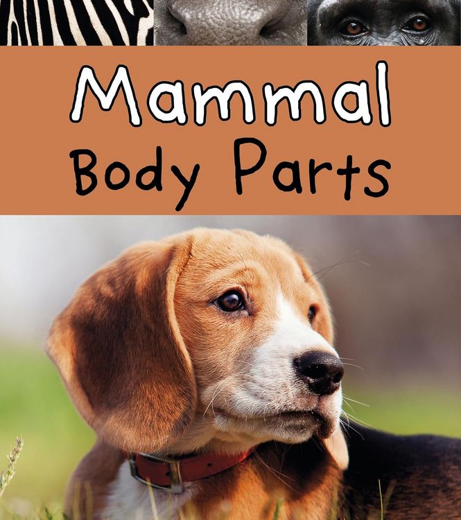 Produktbild: Mammal Body Parts