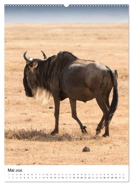 Produktbild: Serengeti Pur - Tansania (Wandkalender 2026 DIN A2 hoch), CALVENDO Monatskalender