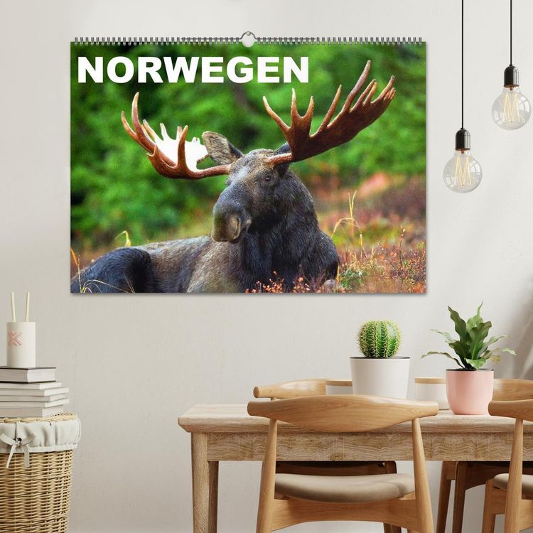 Produktbild: Norwegen (Wandkalender 2026 DIN A2 quer), CALVENDO Monatskalender