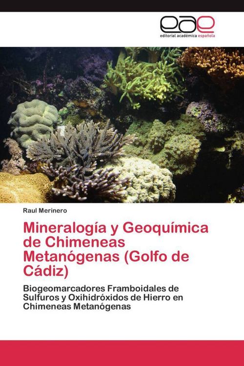 Produktbild: Mineralog&iacute;a y Geoqu&iacute;mica de Chimeneas Metan&oacute;genas (Golfo de C&aacute;diz)
