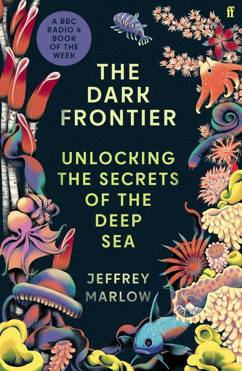 Produktbild: The Dark Frontier