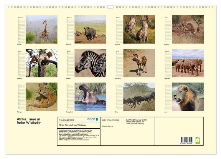 Produktbild: Afrika. Tiere in freier Wildbahn (Wandkalender 2026 DIN A2 quer), CALVENDO Monatskalender