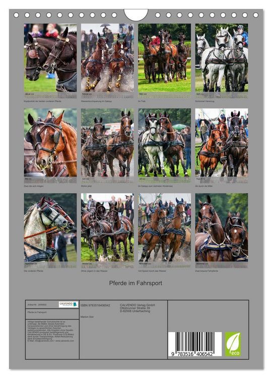 Produktbild: Pferde im Fahrsport (Wandkalender 2026 DIN A4 hoch), CALVENDO Monatskalender