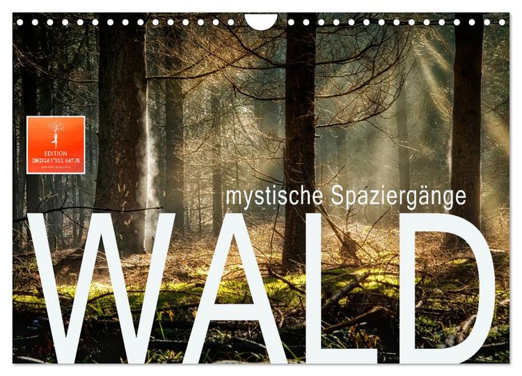 Produktbild: Wald - mystische Spazierg&auml;nge (Wandkalender 2026 DIN A4 quer), CALVENDO Monatskalender