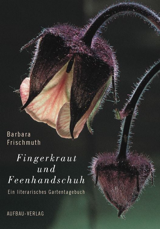 Produktbild: Fingerkraut und Feenhandschuh