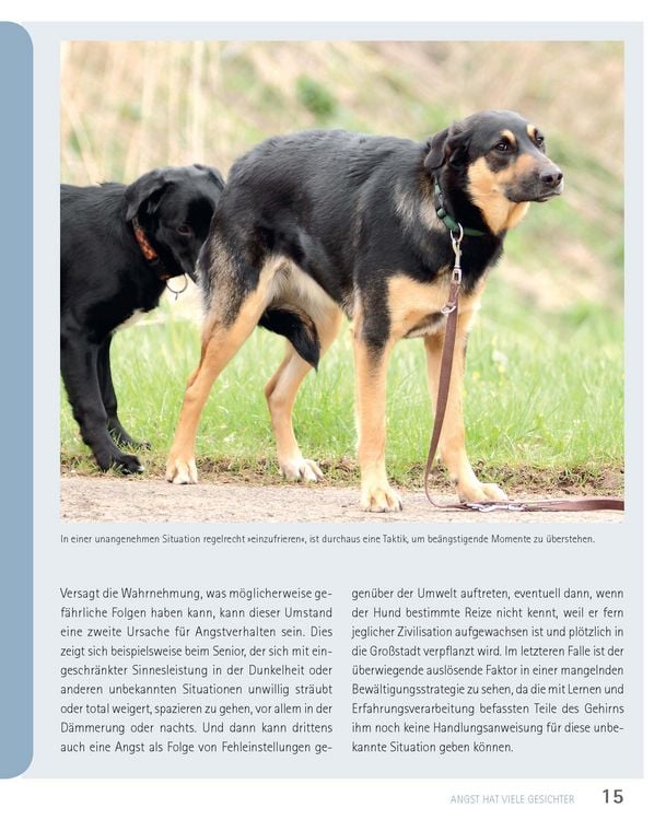 Produktbild: Mein Hund hat Angst