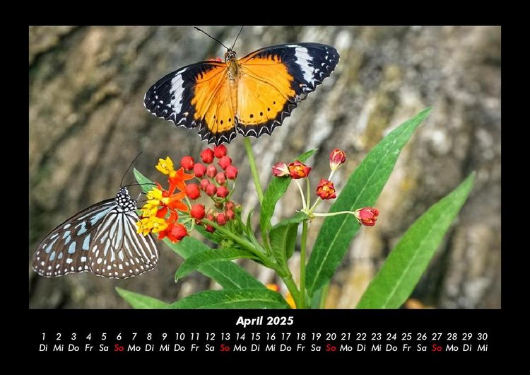 Produktbild: Unser Heimatplanet 2025 Fotokalender DIN A3