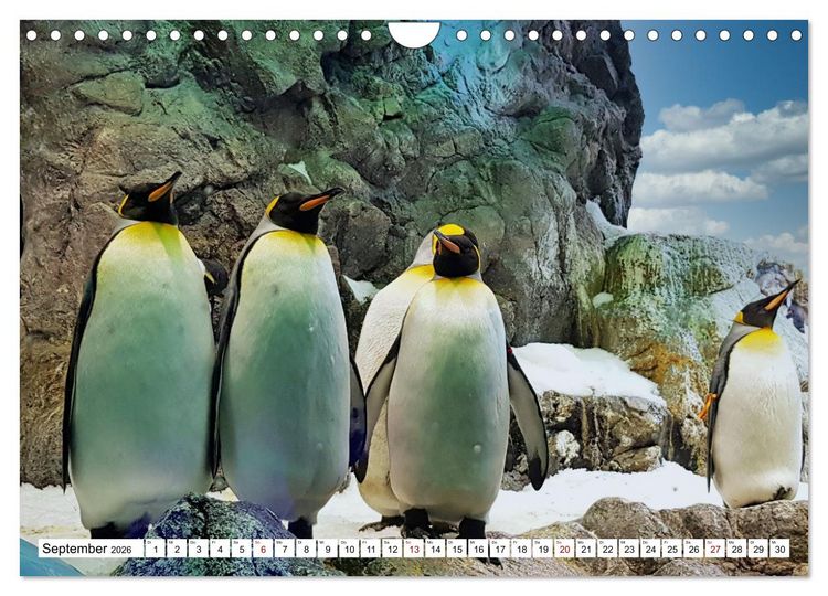 Produktbild: Tierische Fracktr&auml;ger (Wandkalender 2026 DIN A4 quer), CALVENDO Monatskalender