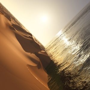 Produktbild: Under The Sun