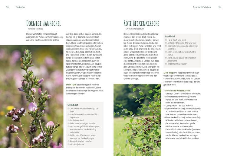 Produktbild: Heimische Pflanzen f&uuml;r den Garten