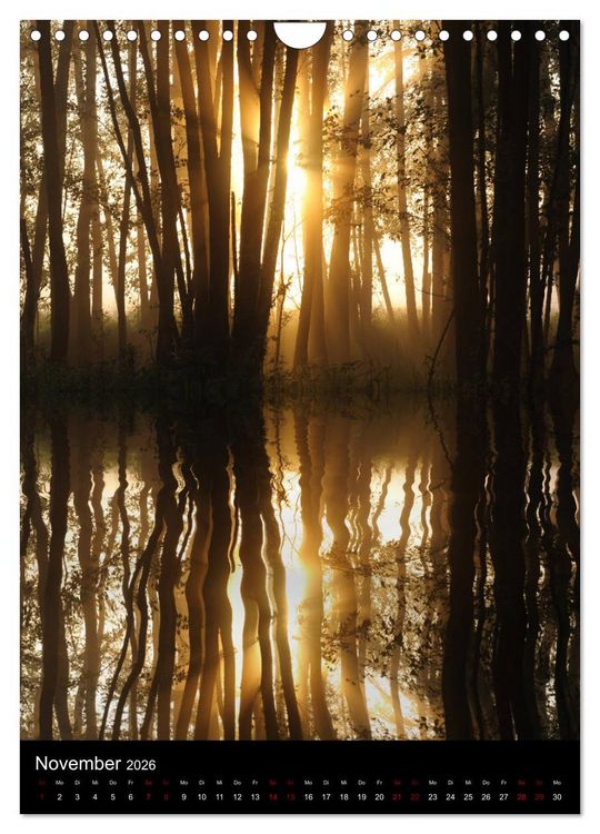 Produktbild: Mystische Stimmungen (Wandkalender 2026 DIN A4 hoch), CALVENDO Monatskalender