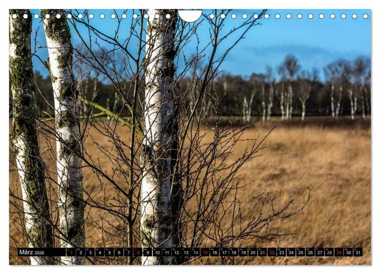 Produktbild: Worpswede - K&uuml;nstlerdorf unter weitem Himmel (Wandkalender 2026 DIN A4 quer), CALVENDO Monatskalender