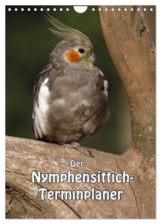 Produktbild: Der Nymphensittich-Terminplaner (Wandkalender 2026 DIN A4 hoch), CALVENDO Monatskalender
