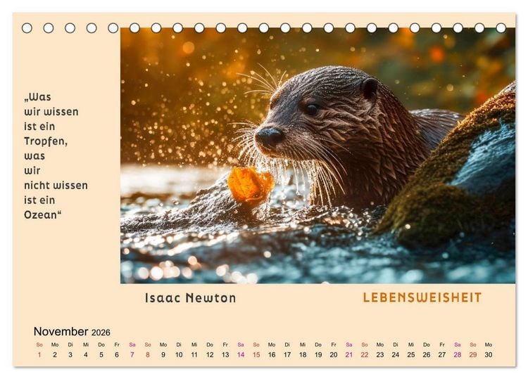 Produktbild: Pfiffig und weise (Tischkalender 2026 DIN A5 quer), CALVENDO Monatskalender