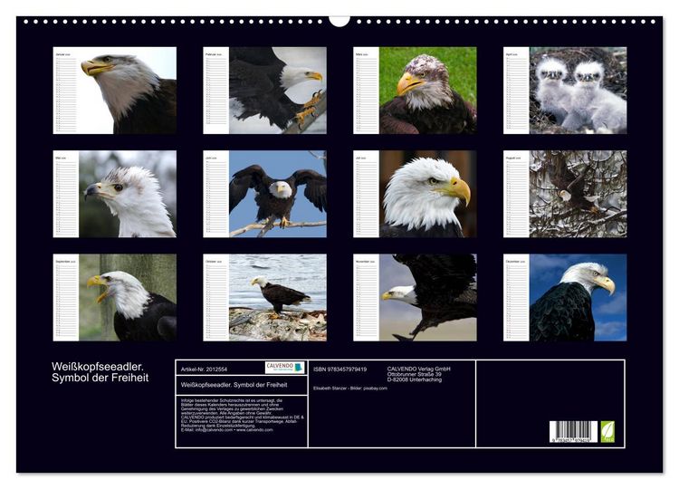 Produktbild: Wei&szlig;kopfseeadler. Symbol der Freiheit (Wandkalender 2026 DIN A2 quer), CALVENDO Monatskalender