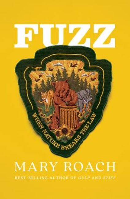 Produktbild: Fuzz