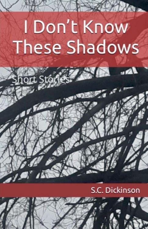 Produktbild: I Don't Know These Shadows