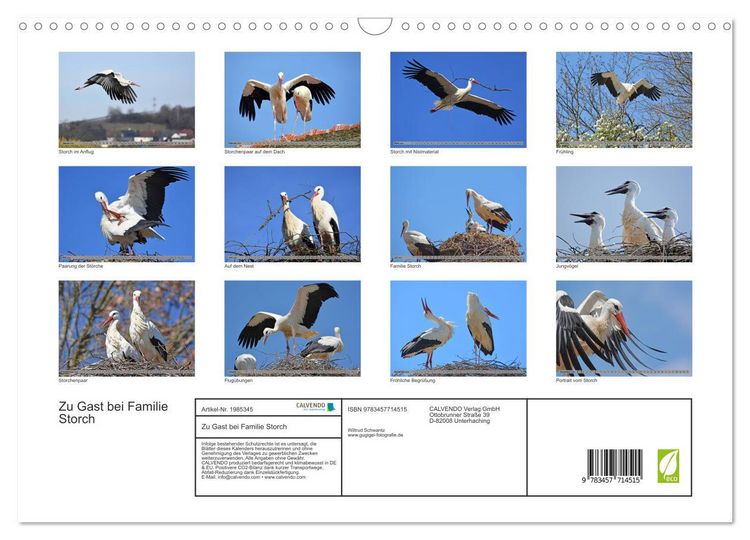 Produktbild: Zu Gast bei Familie Storch (Wandkalender 2026 DIN A3 quer), CALVENDO Monatskalender