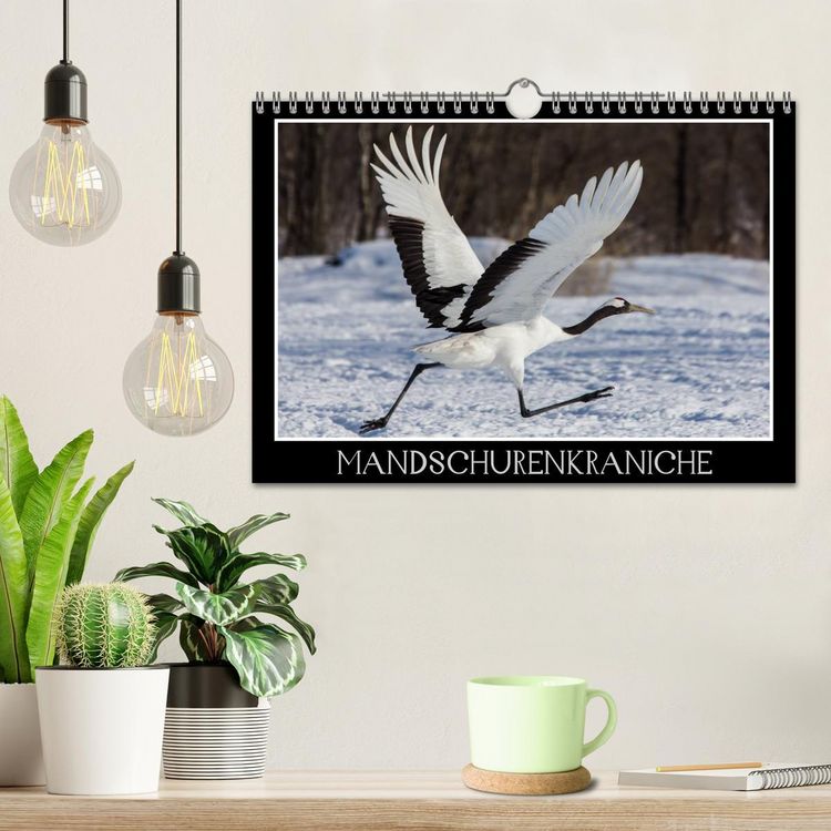 Produktbild: Mandschurenkraniche (Wandkalender 2026 DIN A4 quer), CALVENDO Monatskalender