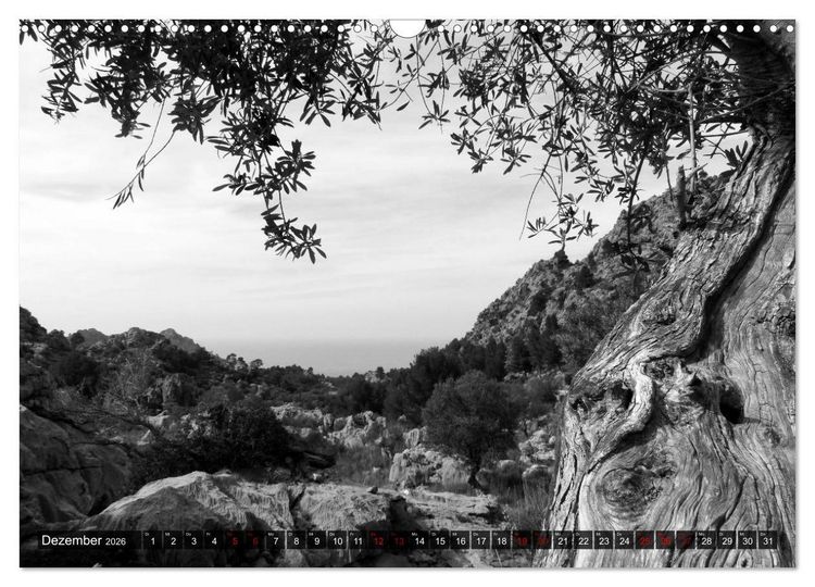 Produktbild: Mallorca monochrom (Wandkalender 2026 DIN A3 quer), CALVENDO Monatskalender