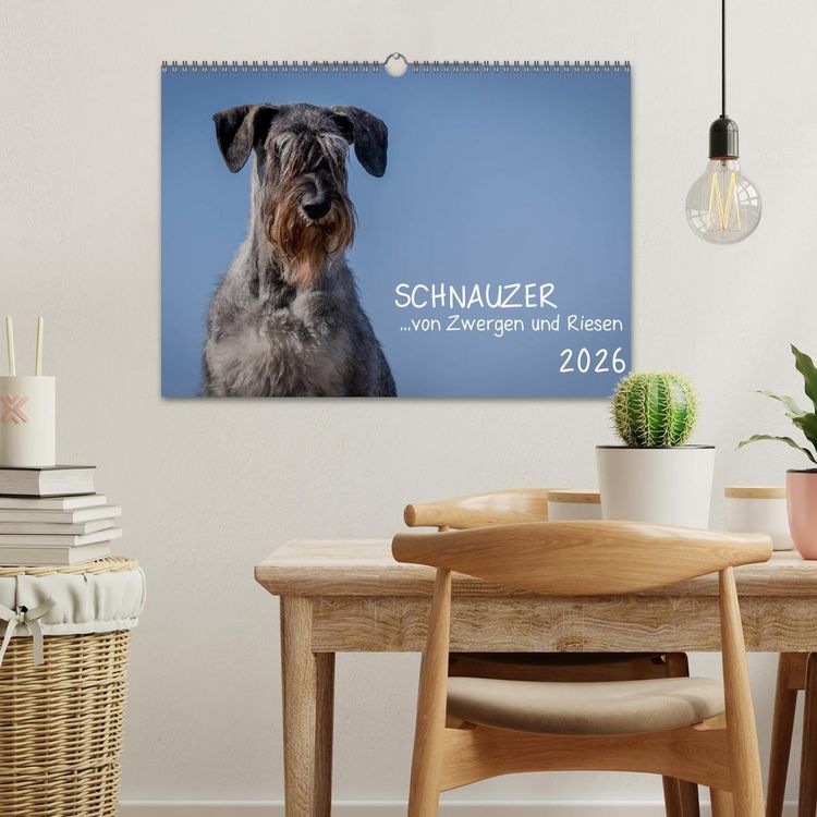 Produktbild: Schnauzer... von Zwergen und Riesen 2026 (Wandkalender 2026 DIN A3 quer), CALVENDO Monatskalender