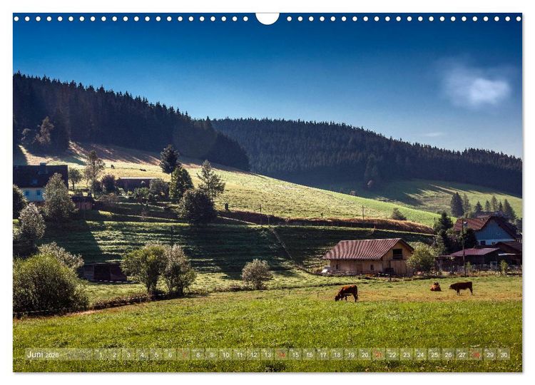 Produktbild: Schwarzwald (Wandkalender 2026 DIN A3 quer), CALVENDO Monatskalender