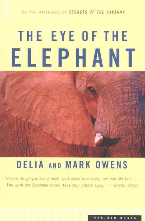 Produktbild: The Eye of the Elephant