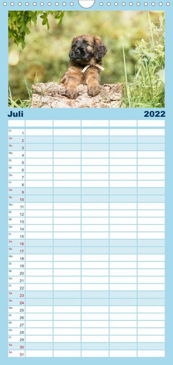 Produktbild: Briardbabys in ihren ersten Wochen - Familienplaner hoch (Wandkalender 2022 , 21 cm x 45 cm, hoch)