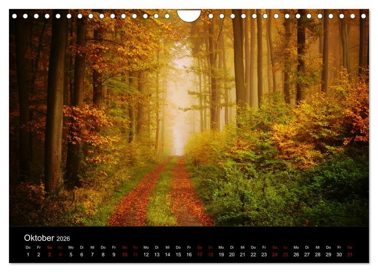 Produktbild: Der Waldspaziergang (Wandkalender 2026 DIN A4 quer), CALVENDO Monatskalender