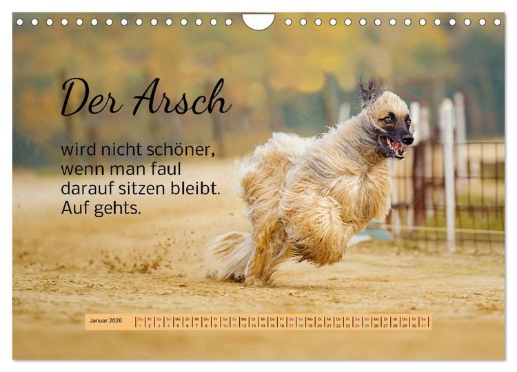 Produktbild: Der Spruchkalender - freiheraus und witzig (Wandkalender 2026 DIN A4 quer), CALVENDO Monatskalender