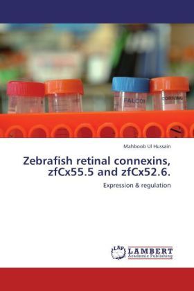 Produktbild: Hussain, M: Zebrafish retinal connexins, zfCx55.5 and zfCx52