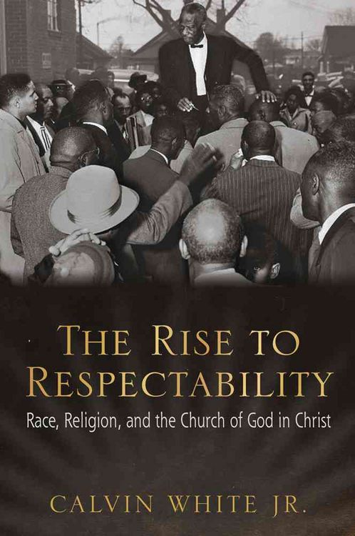 Produktbild: The Rise to Respectability